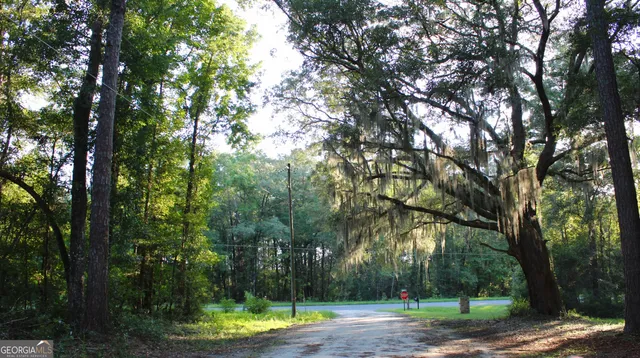 a view of a yard with large trees