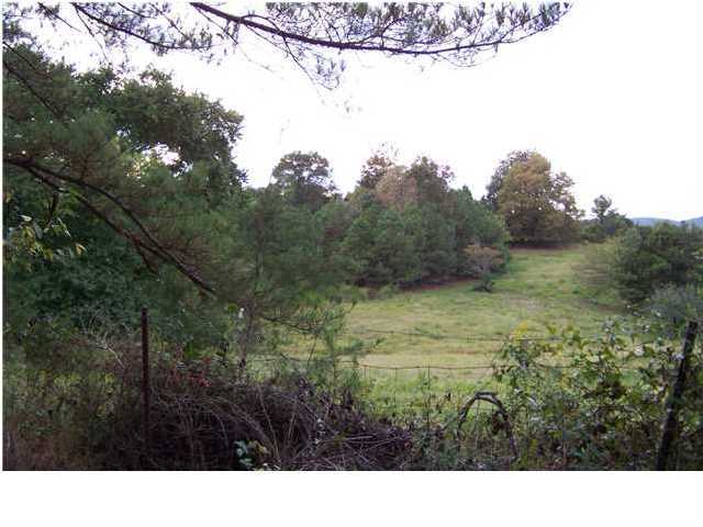 0 South Marbletop Road Chickamauga, GA 30707 - Photo 3 of 7 Additional Photo