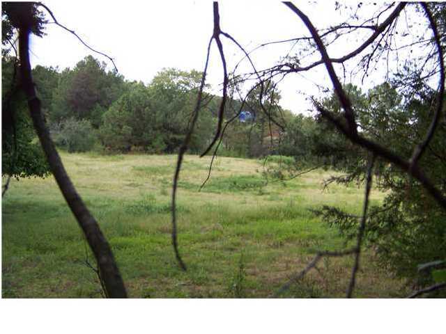 0 South Marbletop Road Chickamauga, GA 30707 - Photo 5 of 7 Additional Photo