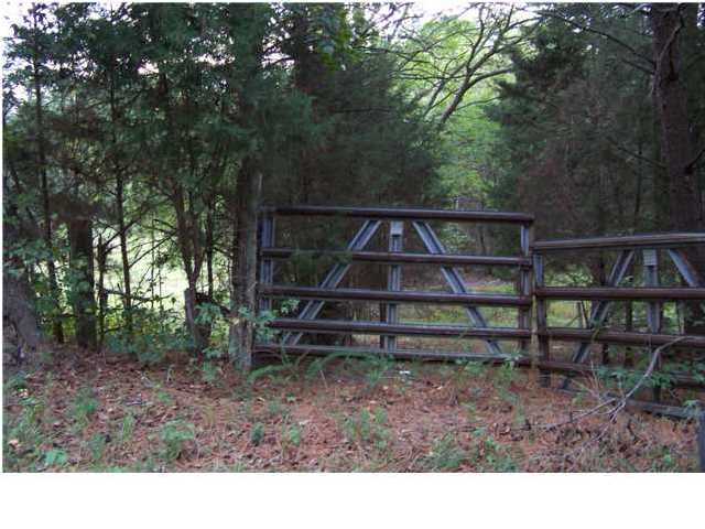 0 South Marbletop Road Chickamauga, GA 30707 - Photo 7 of 7 Additional Photo