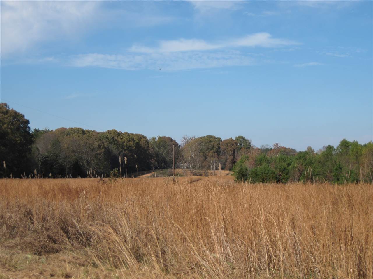 3551 Lucius Taylor Road Como, MS 38619 - Photo 9 of 13 Gallery Image 9