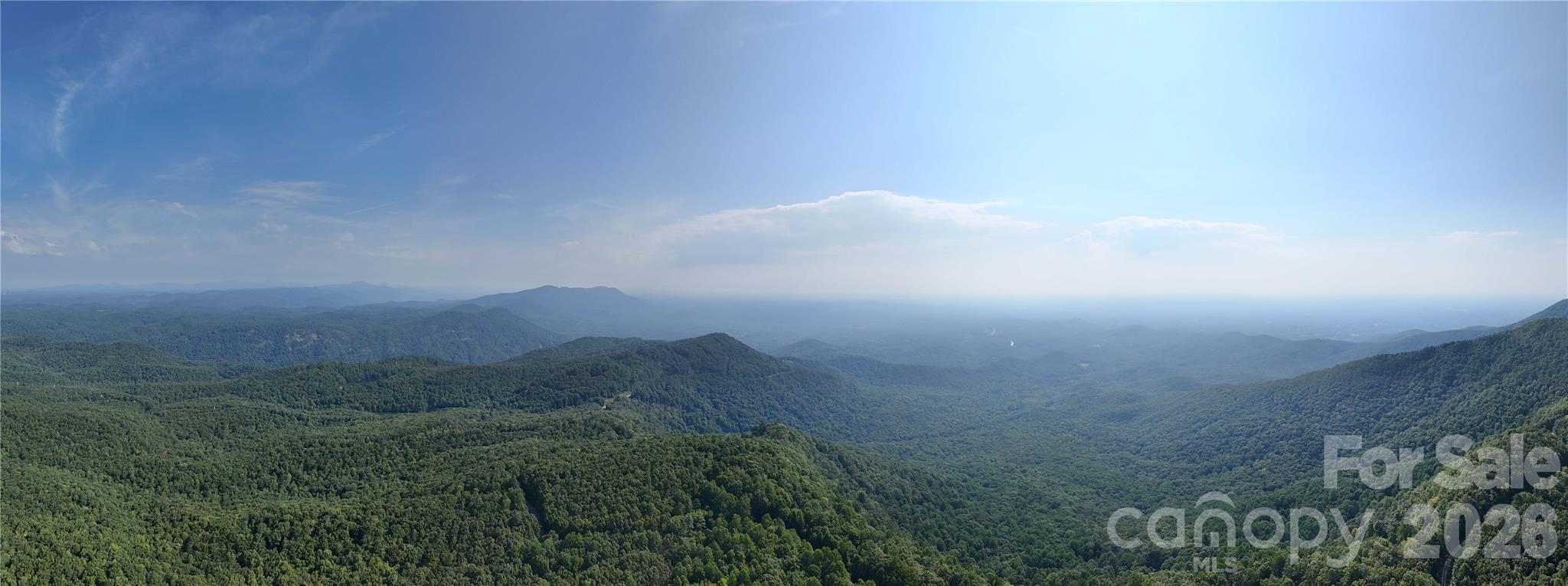 Lot 2 Hogback Mountain Road, Unit 2 Tryon, NC 28782 - Photo 3 of 27 Gallery Image 3