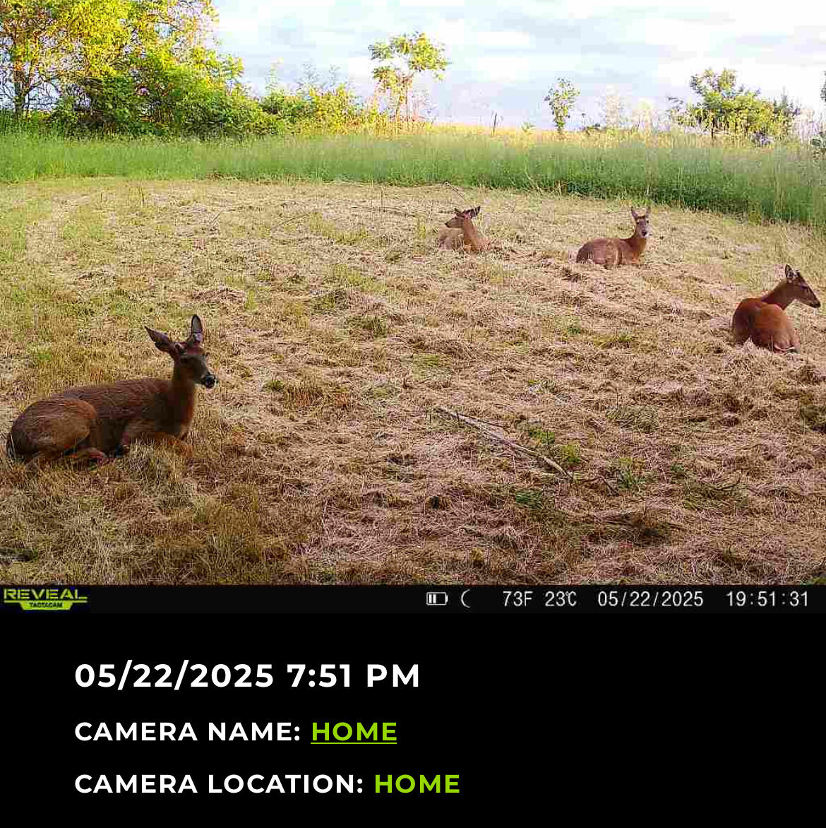 1526 Ozark Road Crane, MO 65633 - Photo 2 of 41 image0
