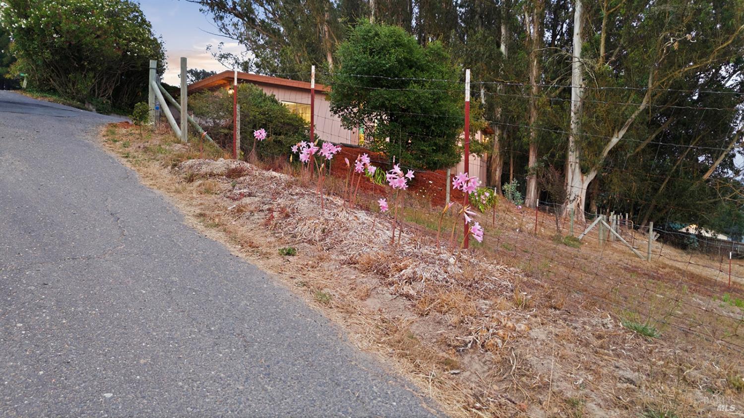 2455 Bloomfield Road Sebastopol, CA 95472 - Photo 61 of 71 Gallery Image 61