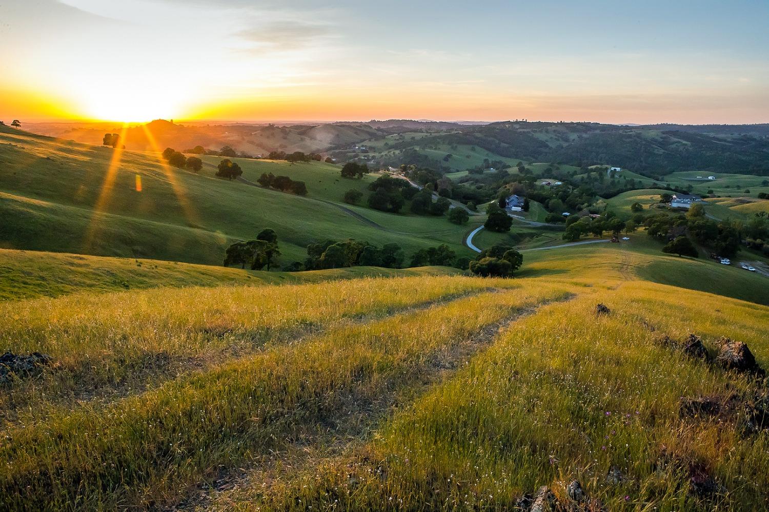 9840 New Chicago Road Drytown, CA 95699 - Photo 2 of 35
