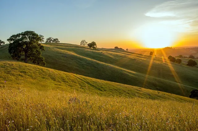 $700,000 | 9840 New Chicago Road, Drytown, CA 95699