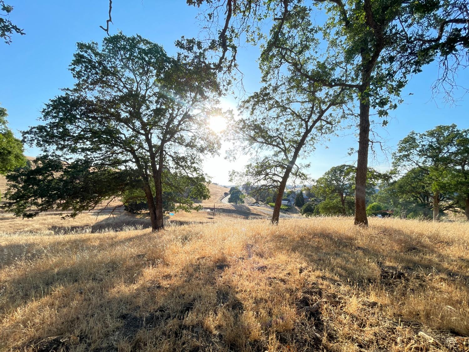 9840 New Chicago Road Drytown, CA 95699 - Photo 34 of 35 Front yard . Peaceful.