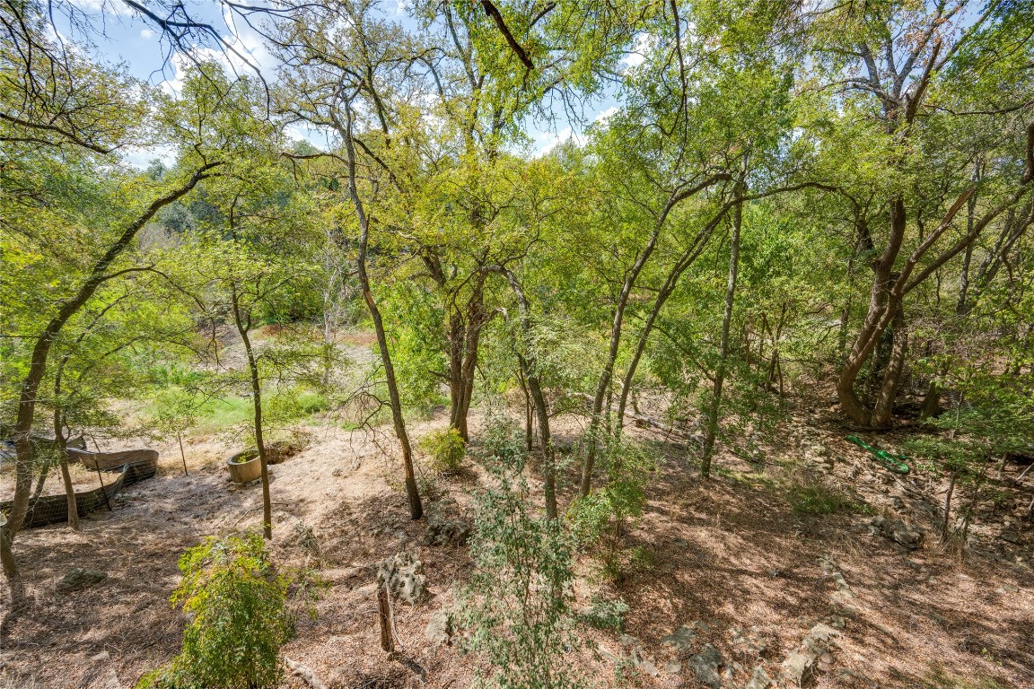 4710 Roundup Trail Austin, TX 78745 - Photo 23 of 26 a view of yard