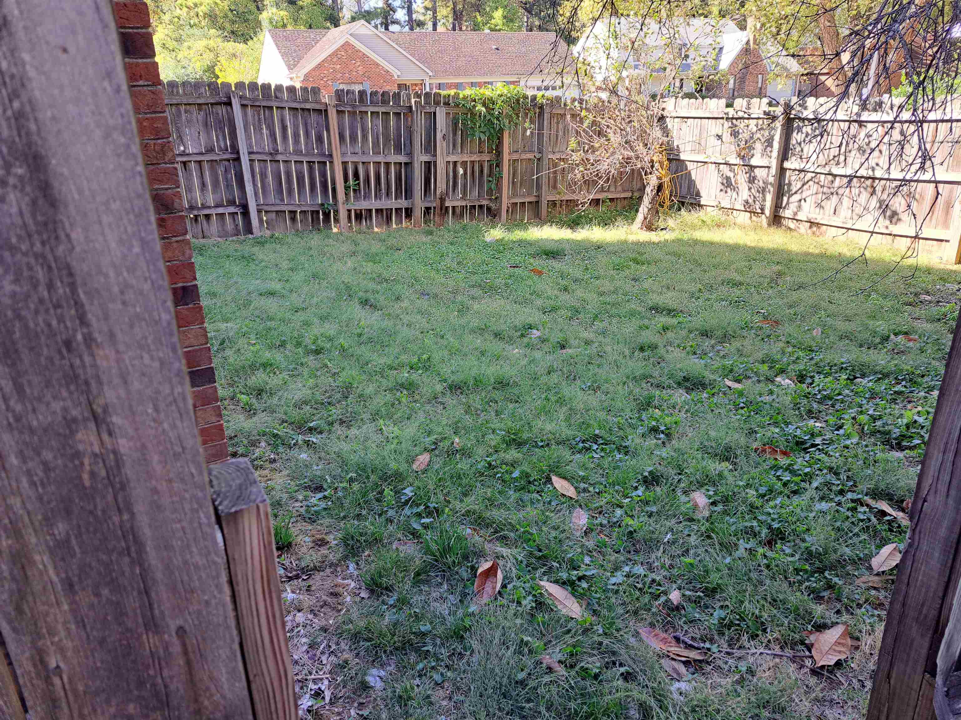 3154 Raleigh Ridge Drive Memphis, TN 38128 - Photo 16 of 18 a view of a backyard with a wooden fence