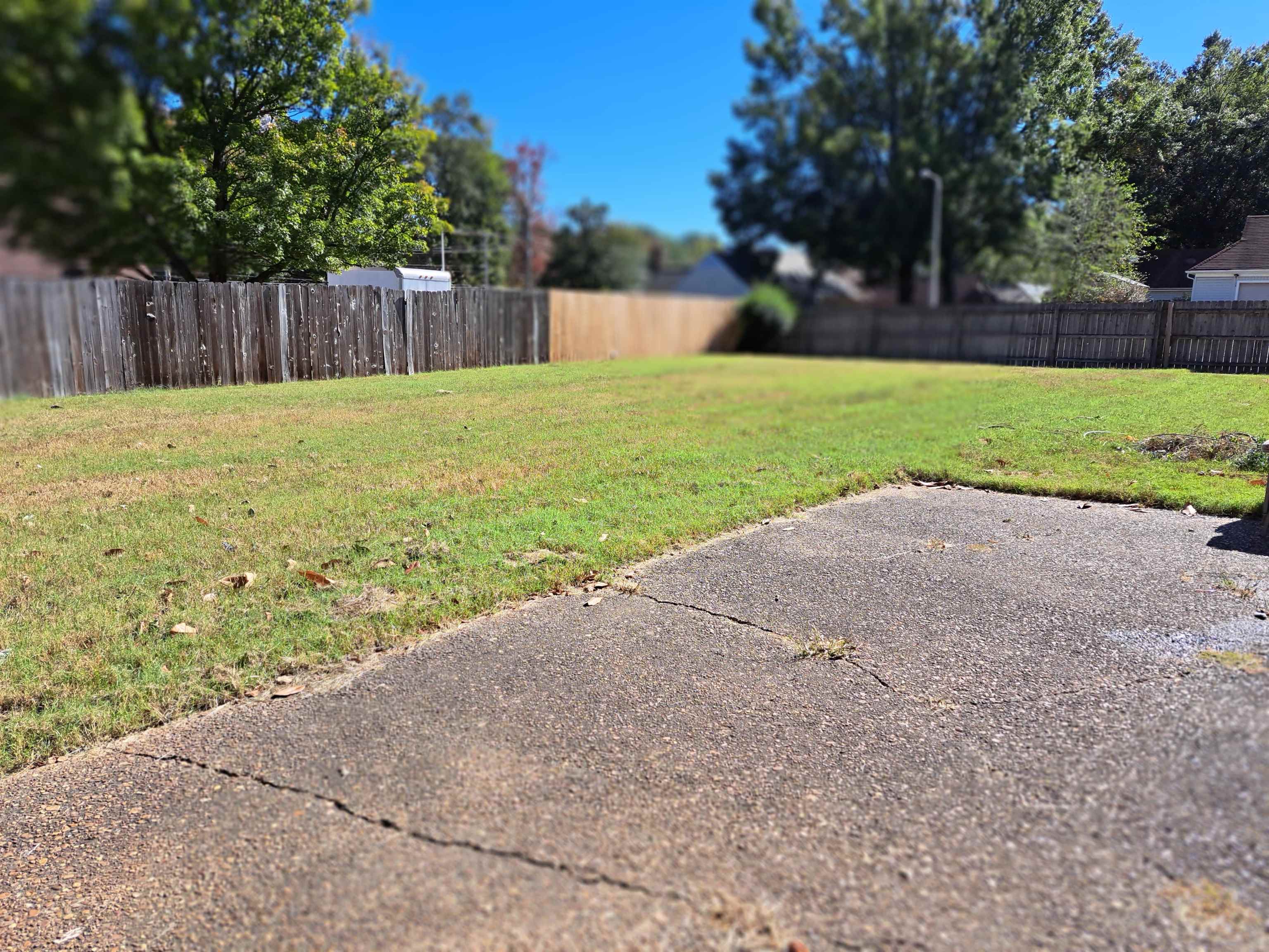 3154 Raleigh Ridge Drive Memphis, TN 38128 - Photo 17 of 18 a view of a backyard with a small cabin