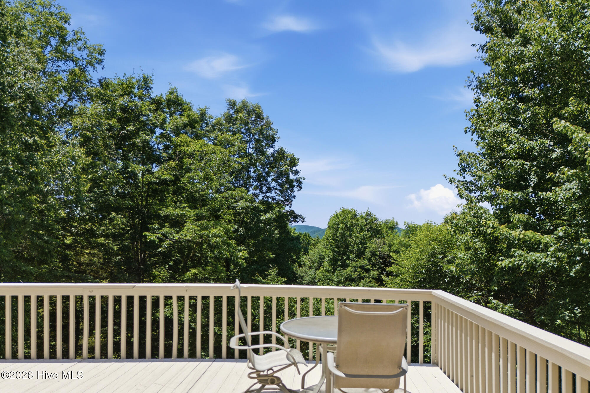 820 Chimney Ridge Road Topton, NC 28781 - Photo 53 of 73
