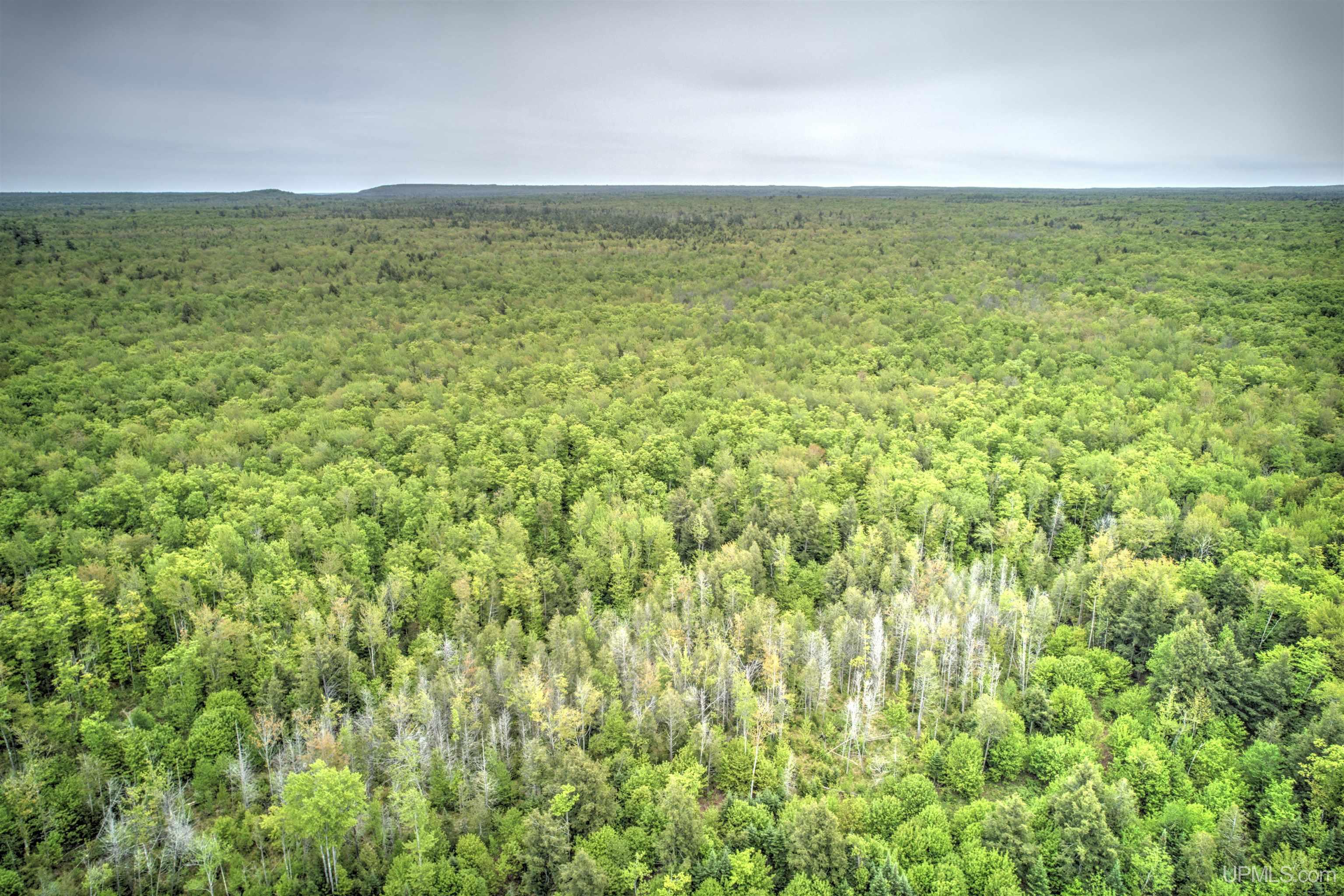 Tbd Tbd Segan Road Marquette, MI 49855 - Photo 19 of 21