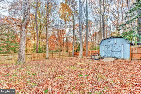 a view of backyard with tree