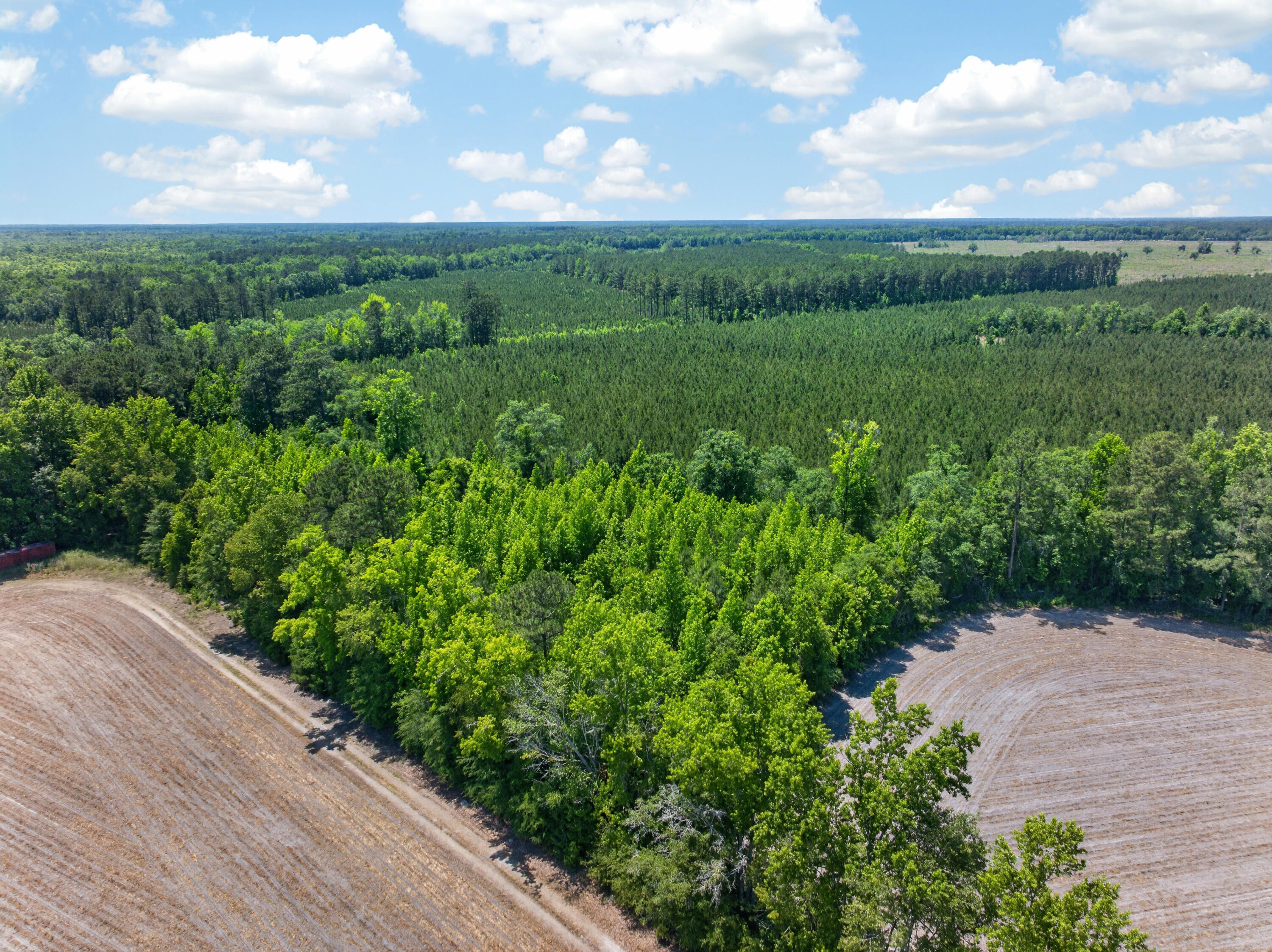 5120 North Brewington Road, Unit 10 Alcolu, SC 29001 - Photo 35 of 40 DJI_20260521133448_0062_D