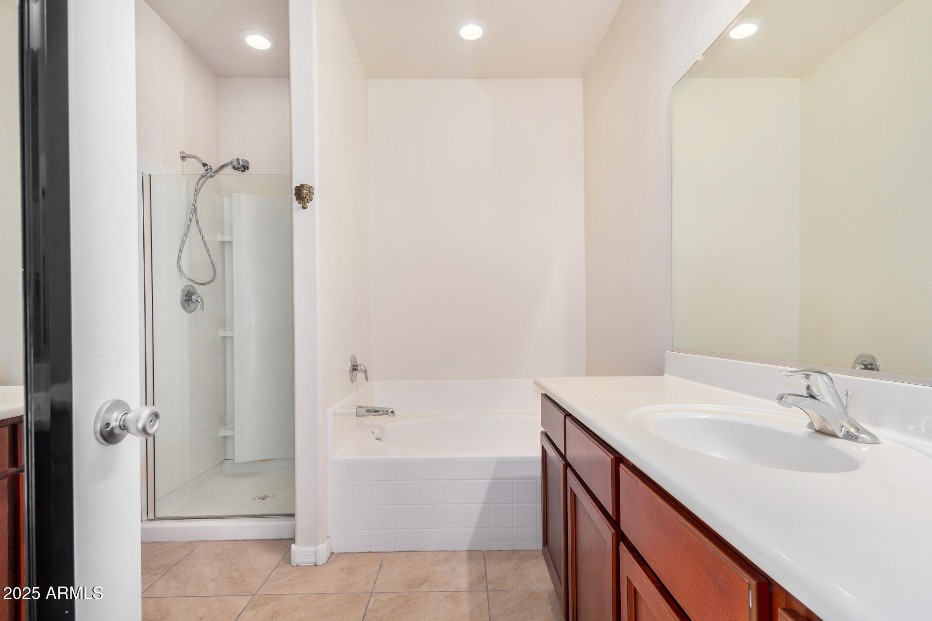 4880 South 246th Lane Buckeye, AZ 85326 - Photo 20 of 32 a bathroom with a sink and a mirror