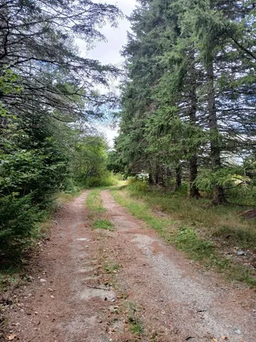 $225,000 | 23 Addison Road, Columbia Falls, ME 04623