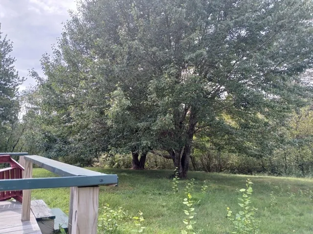 $225,000 | 23 Addison Road, Columbia Falls, ME 04623