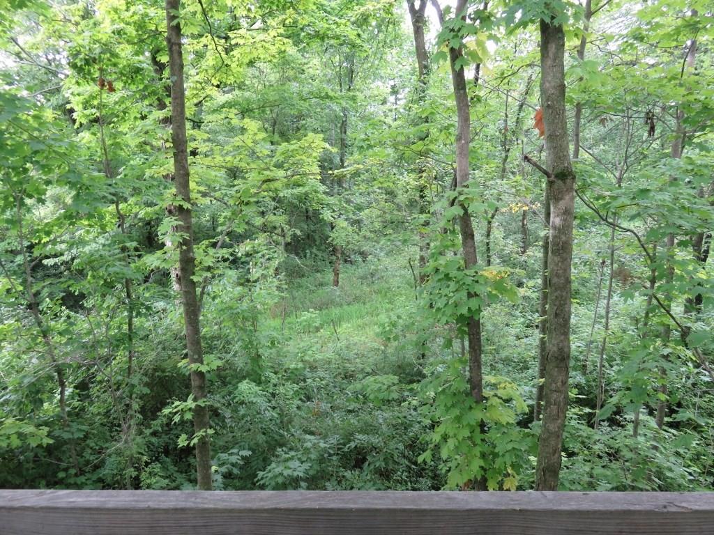0 Maudlin Road Hagerstown, IN 47354 - Photo 6 of 19 Gallery Image 6