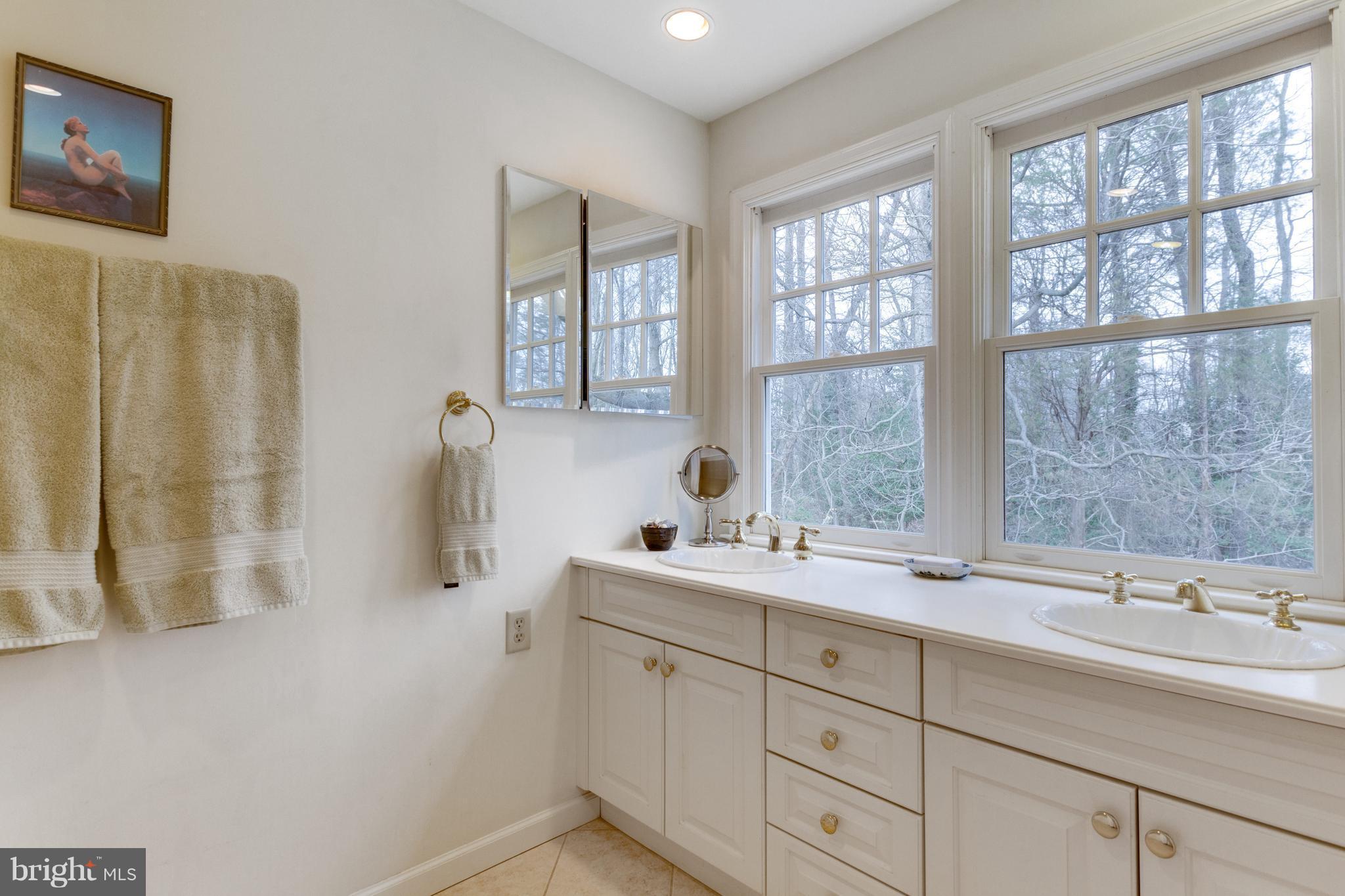 11339 Vale Road Oakton, VA 22124 - Photo 19 of 30 Bath (Master)