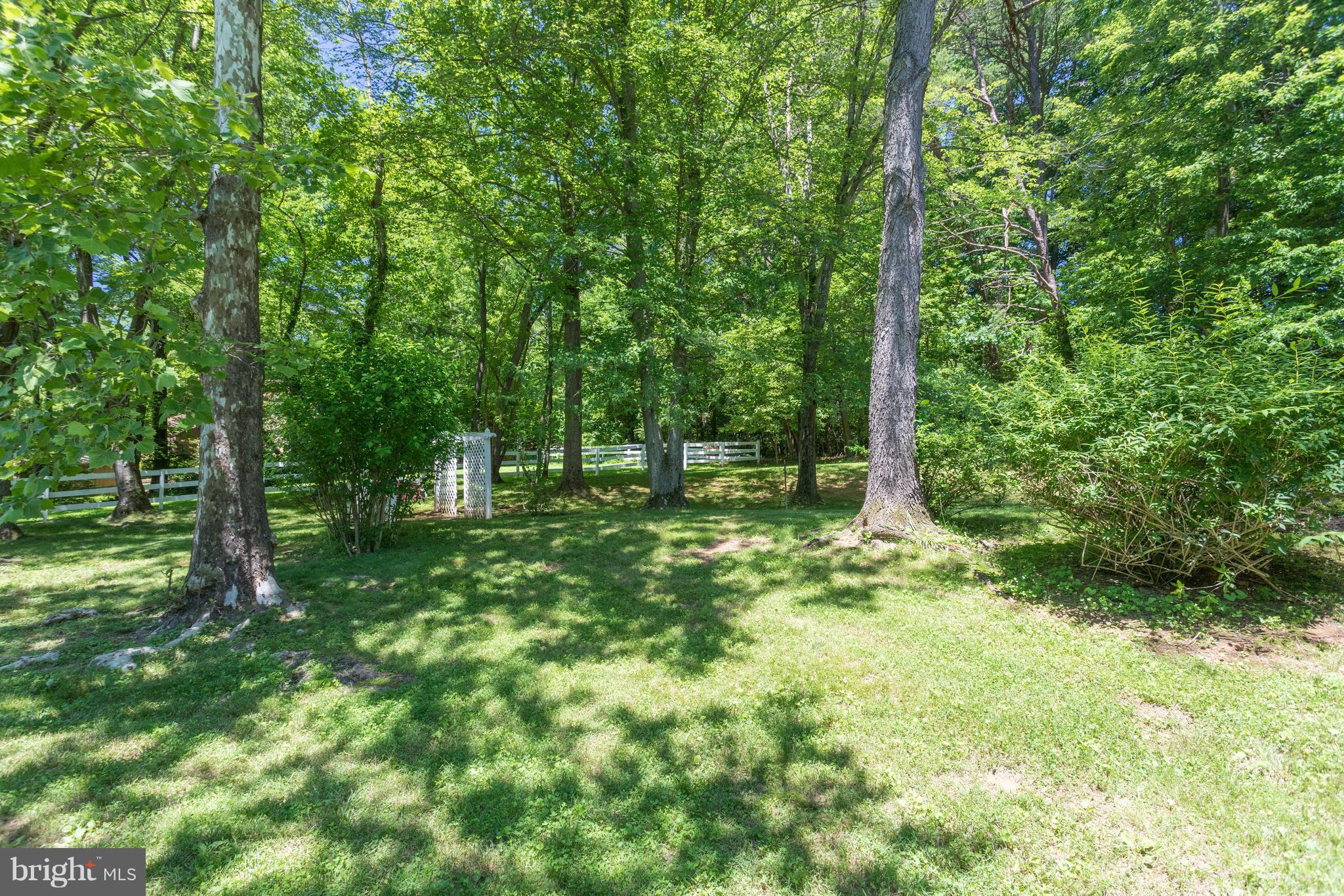 11339 Vale Road Oakton, VA 22124 - Photo 28 of 30 Exterior (Rear)