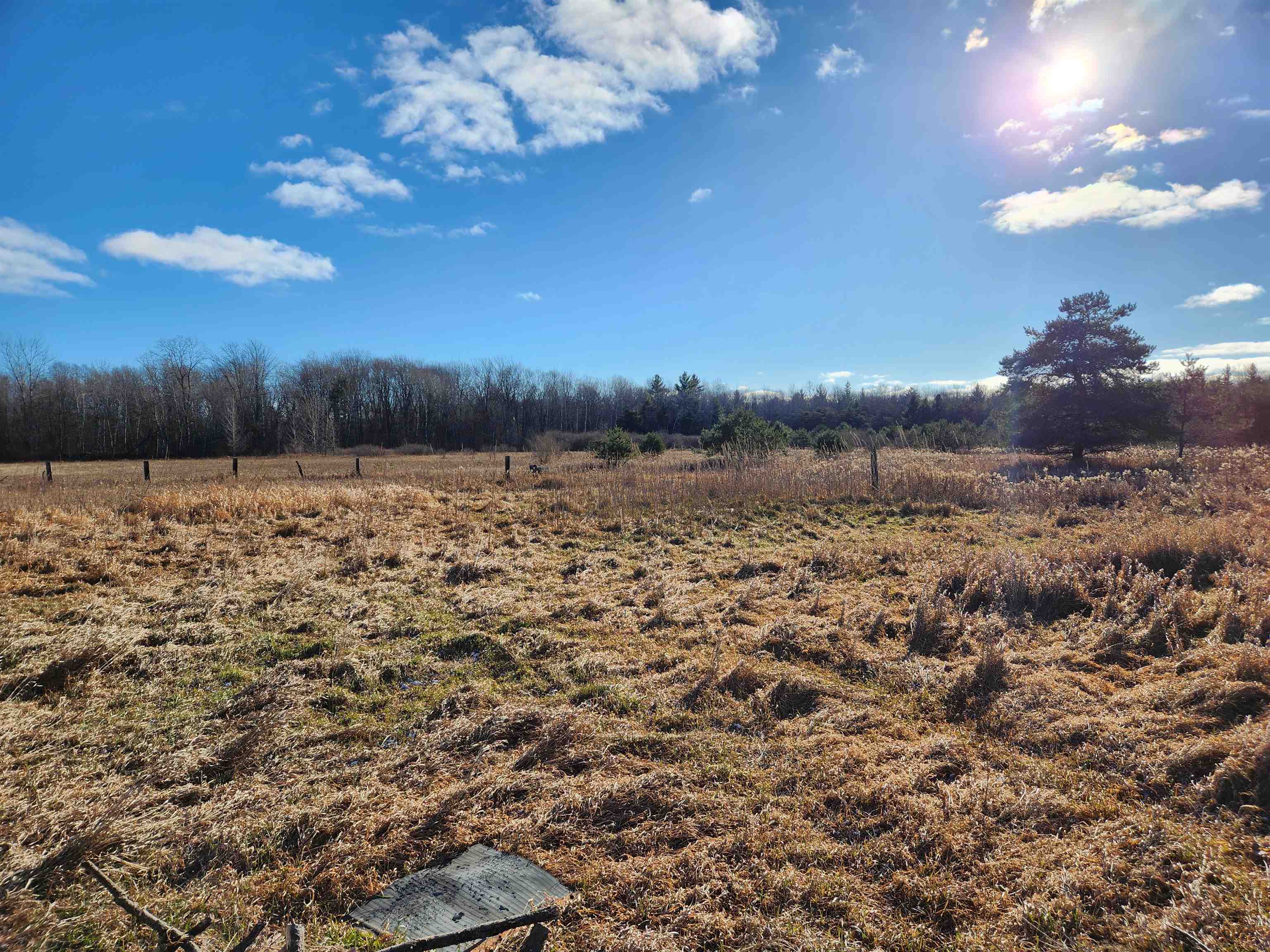 683 Hickory Island Road Standish, MI 48658 - Photo 11 of 31