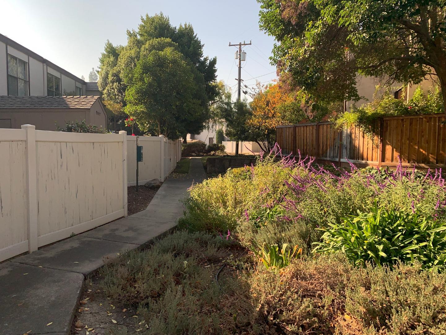 2043 Sierra Road, Unit 1 Concord, CA 94518 - Photo 27 of 34 a view of a yard with plants and large trees