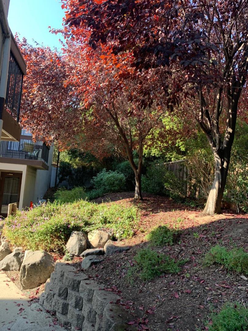2043 Sierra Road, Unit 1 Concord, CA 94518 - Photo 6 of 34 a wooden fence with some trees