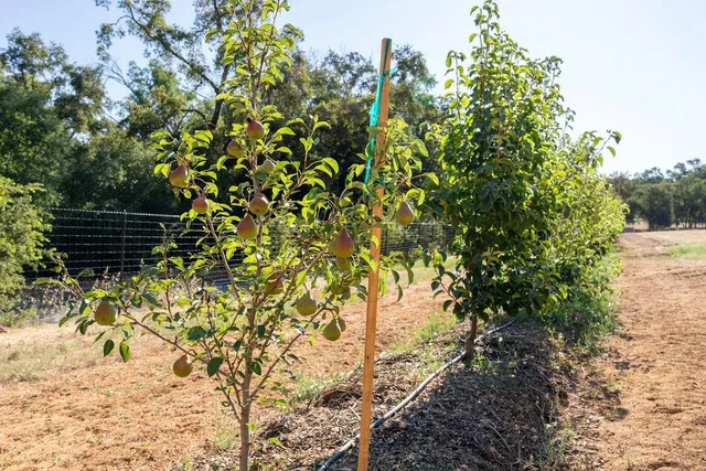 a view of a swimming pool