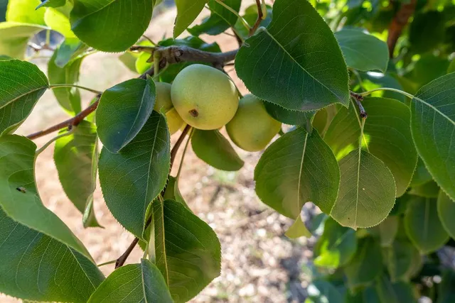 a view of a swimming pool