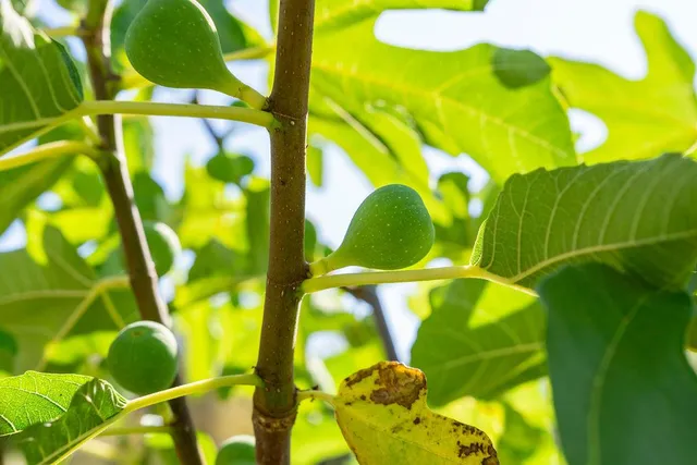 a view of lake view and mountain view