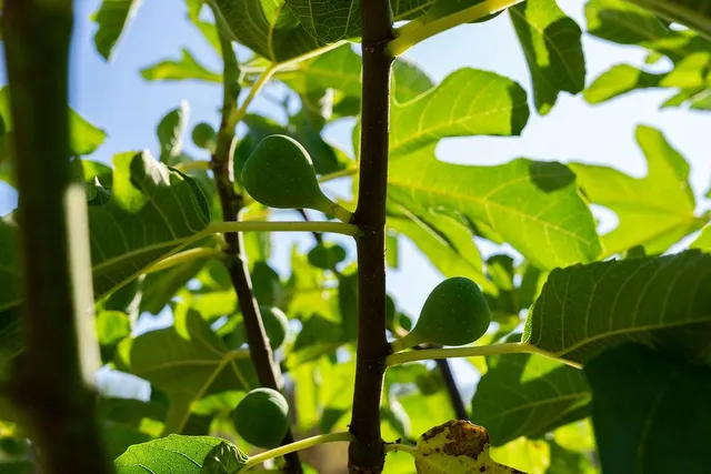 $349,000 | 6800 Potts Trail, Browns Valley, CA 95918