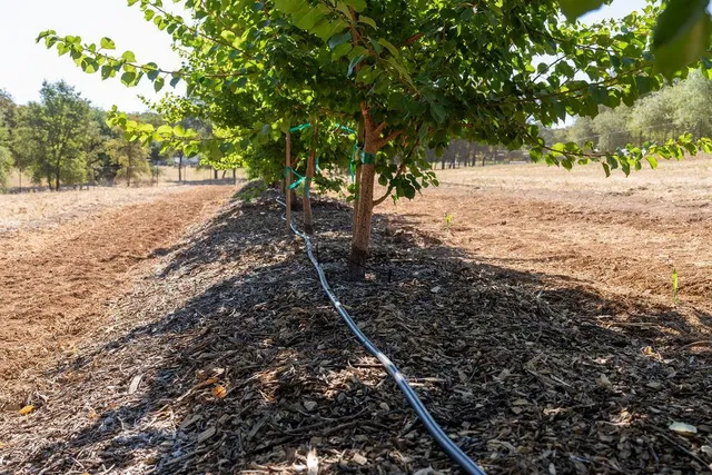 $349,000 | 6800 Potts Trail, Browns Valley, CA 95918