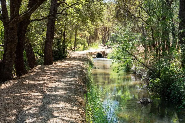 $349,000 | 6800 Potts Trail, Browns Valley, CA 95918