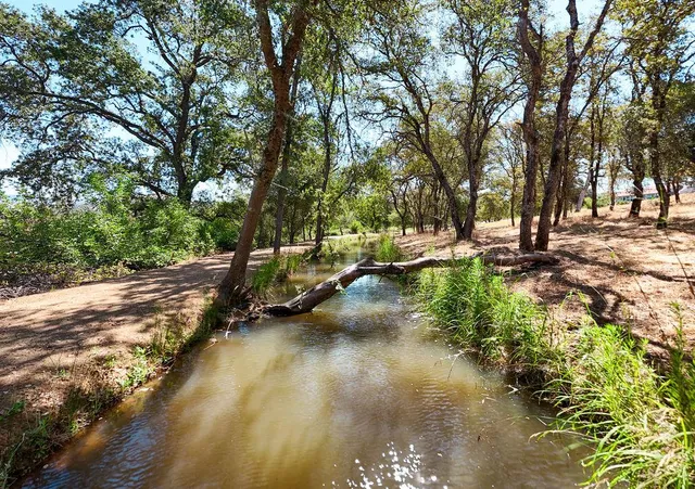 a view of a lake with trees