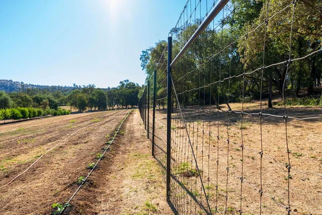 a view of small yard