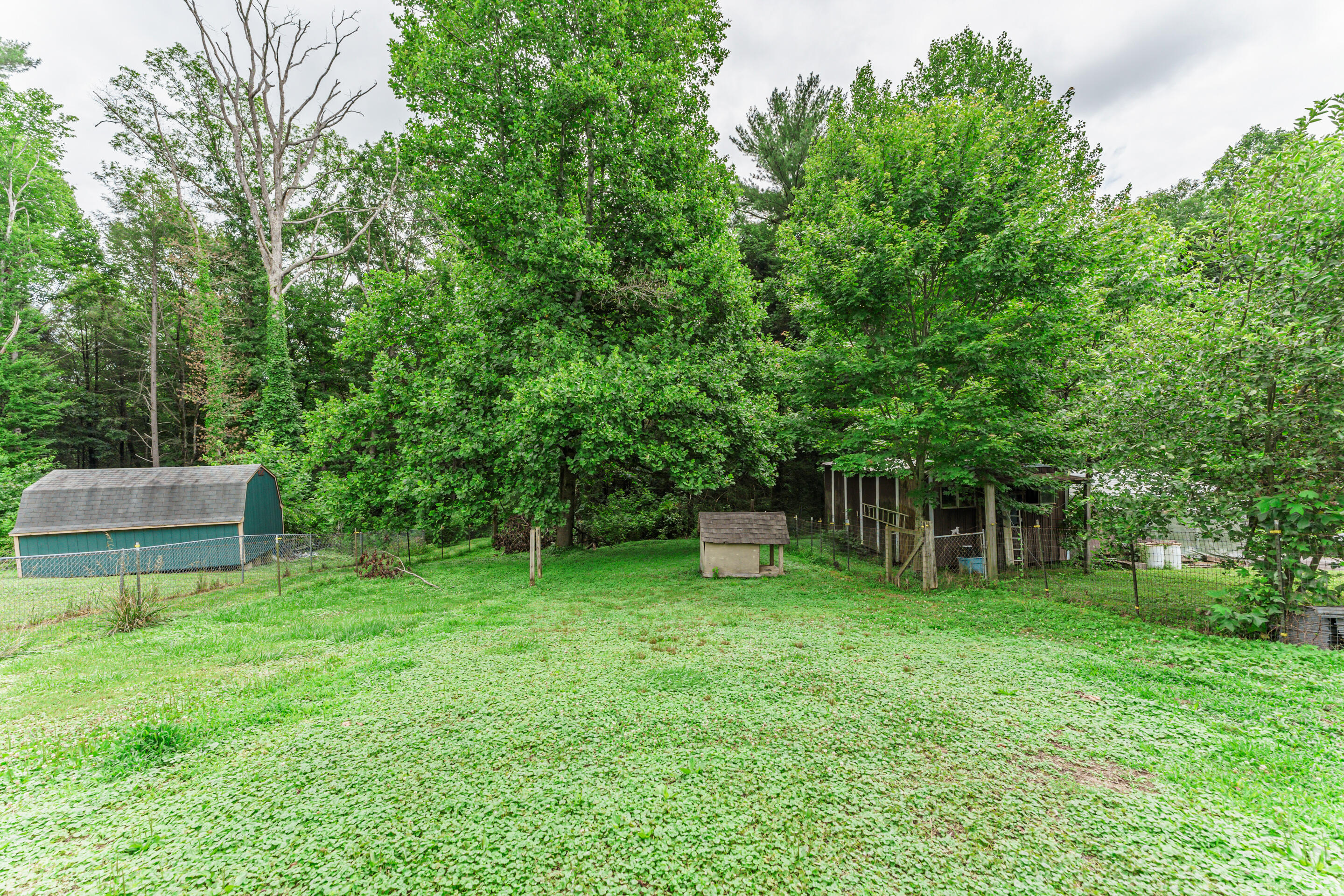 150 Boulder Road Wartburg, TN 37887 - Photo 14 of 16 _DSC9714-HDR