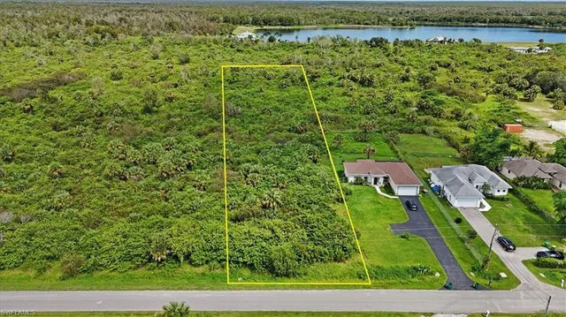 a bird view of a garden