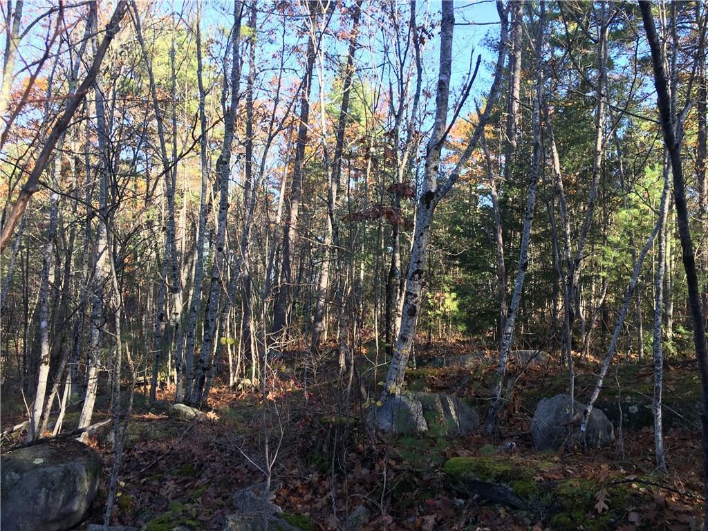 1343 Richville Road Standish, ME 04084 - Photo 4 of 18 Photo