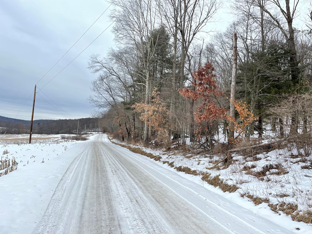 0 Furnace Road Cooperstown, PA 16317 - Photo 3 of 4
