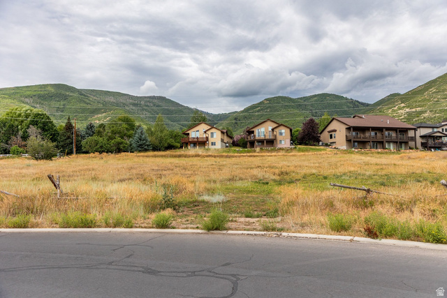 950 Swiss Alpine Road Midway, UT 84049 - Photo 16 of 21 Gallery Image 16