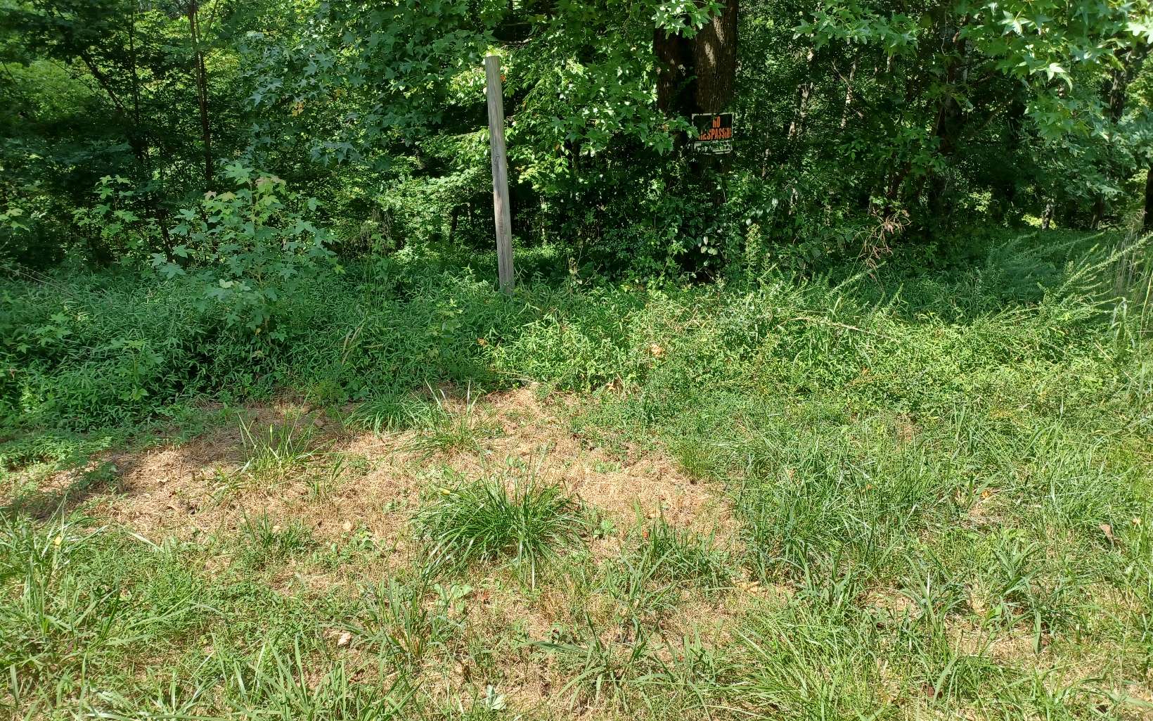 5.34 Sugar Ridge Drive Ellijay, GA 30536 - Photo 3 of 3 Additional View