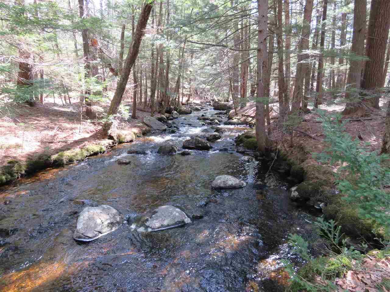 80 Spring Hill Road Sharon, NH 03458 - Photo 3 of 23