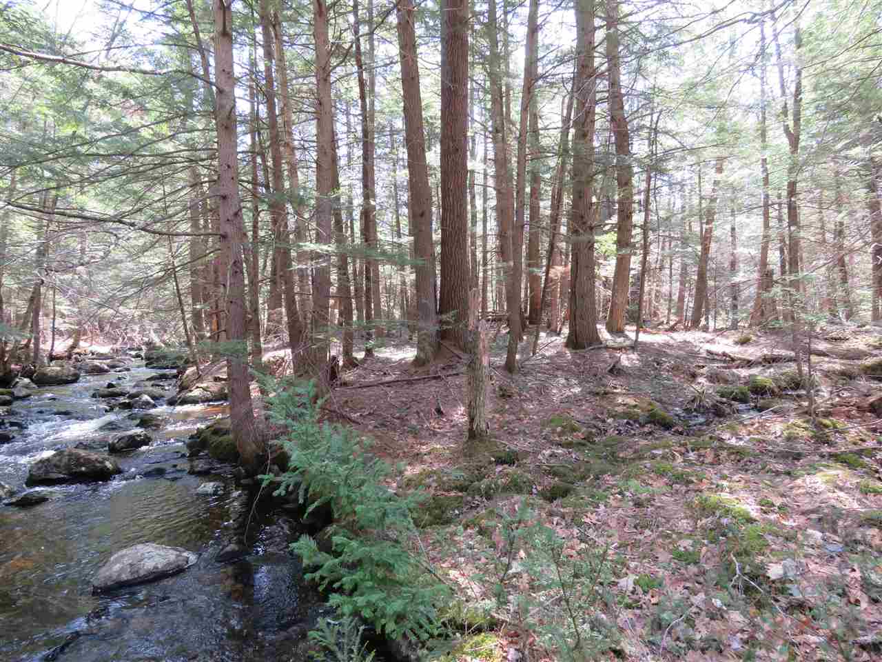 80 Spring Hill Road Sharon, NH 03458 - Photo 21 of 23