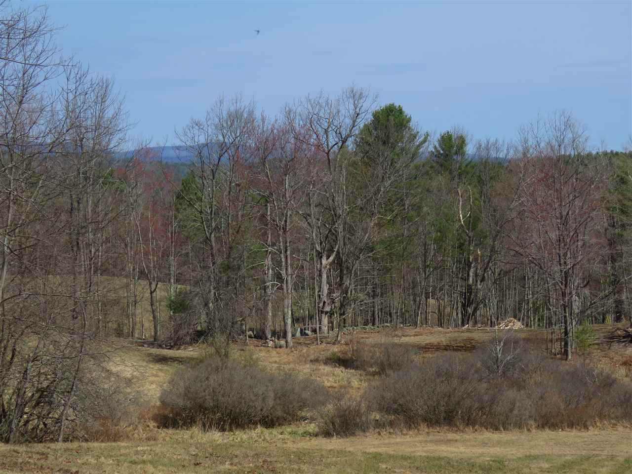 80 Spring Hill Road Sharon, NH 03458 - Photo 5 of 23