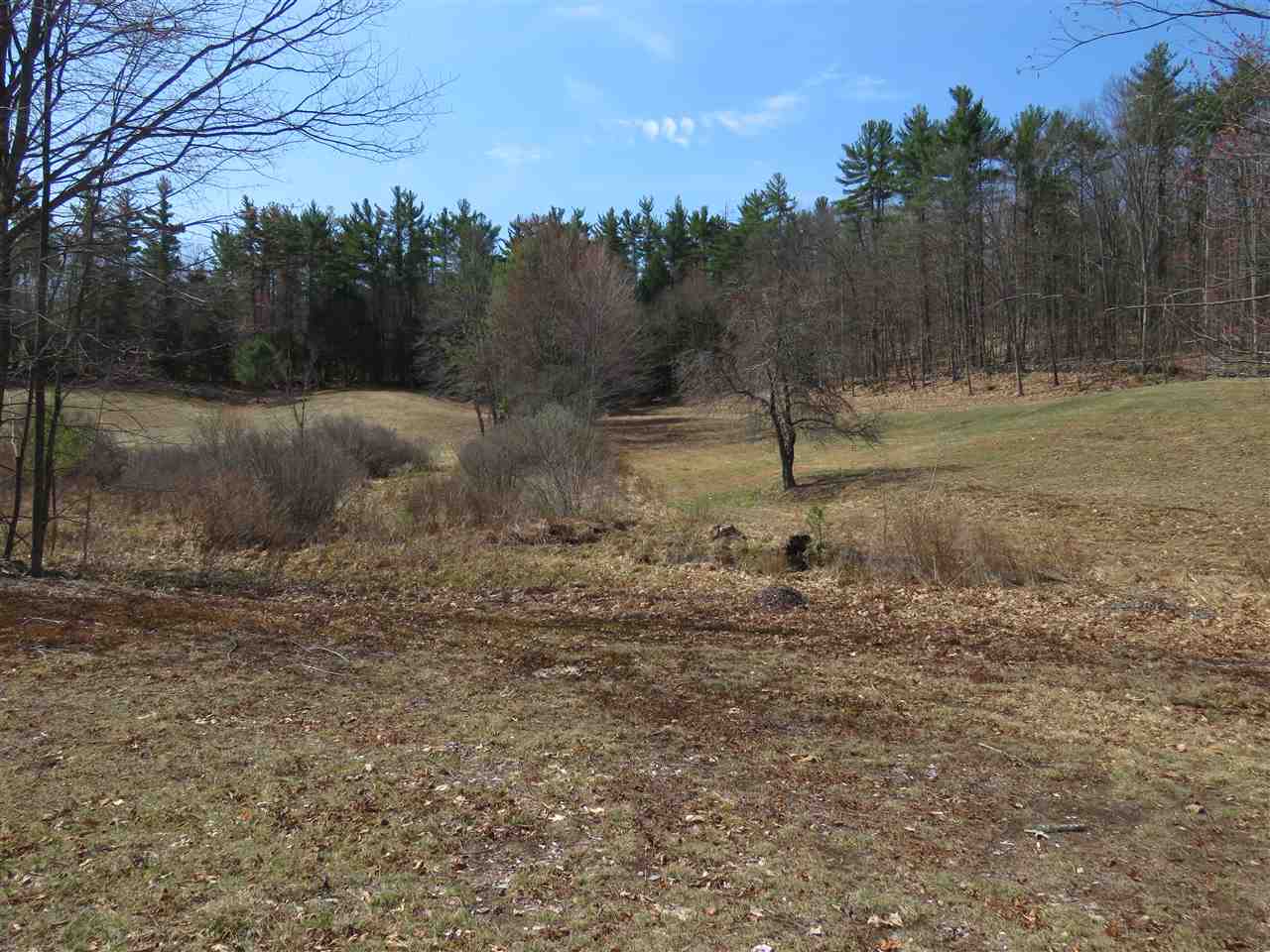 80 Spring Hill Road Sharon, NH 03458 - Photo 9 of 23