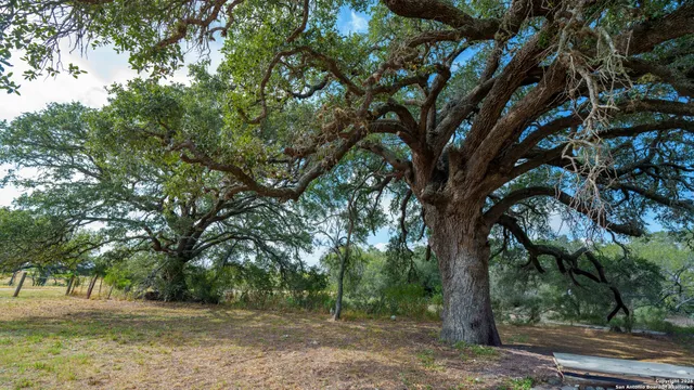 $499,200 | 3638 Farm To Market Road 2579, Floresville, TX 78114