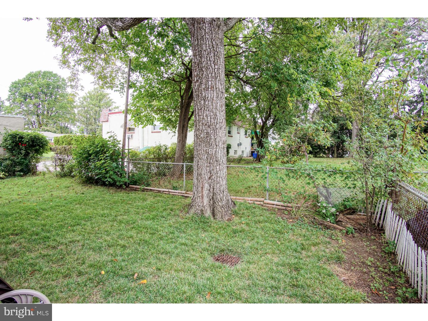 8043 Rugby Street Philadelphia, PA 19150 - Photo 25 of 25 Gallery Image 25