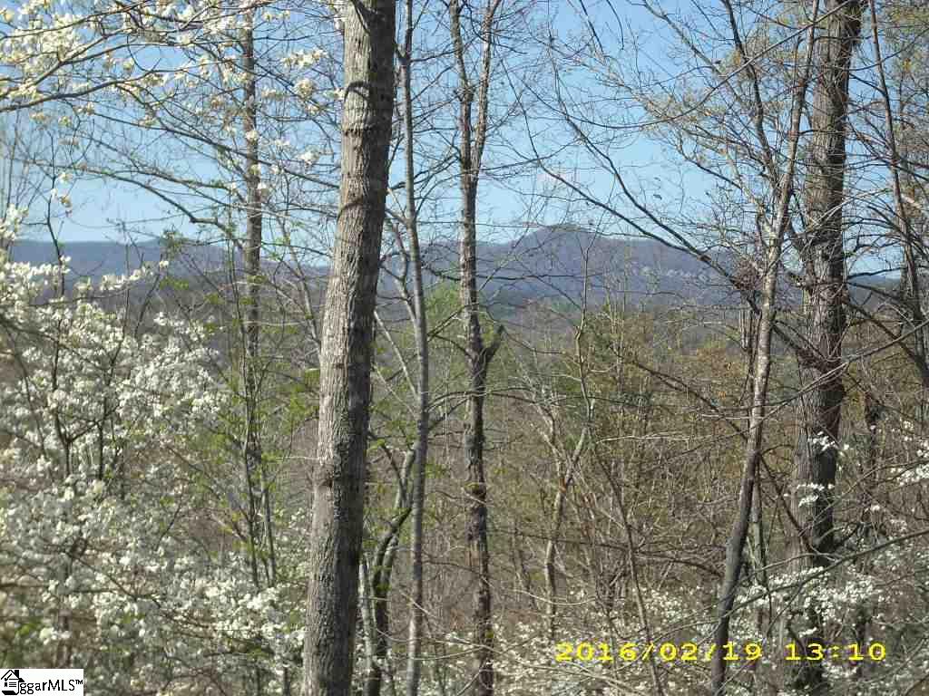 207 Cold Springs Church Road Pickens, SC 29671 - Photo 6 of 25