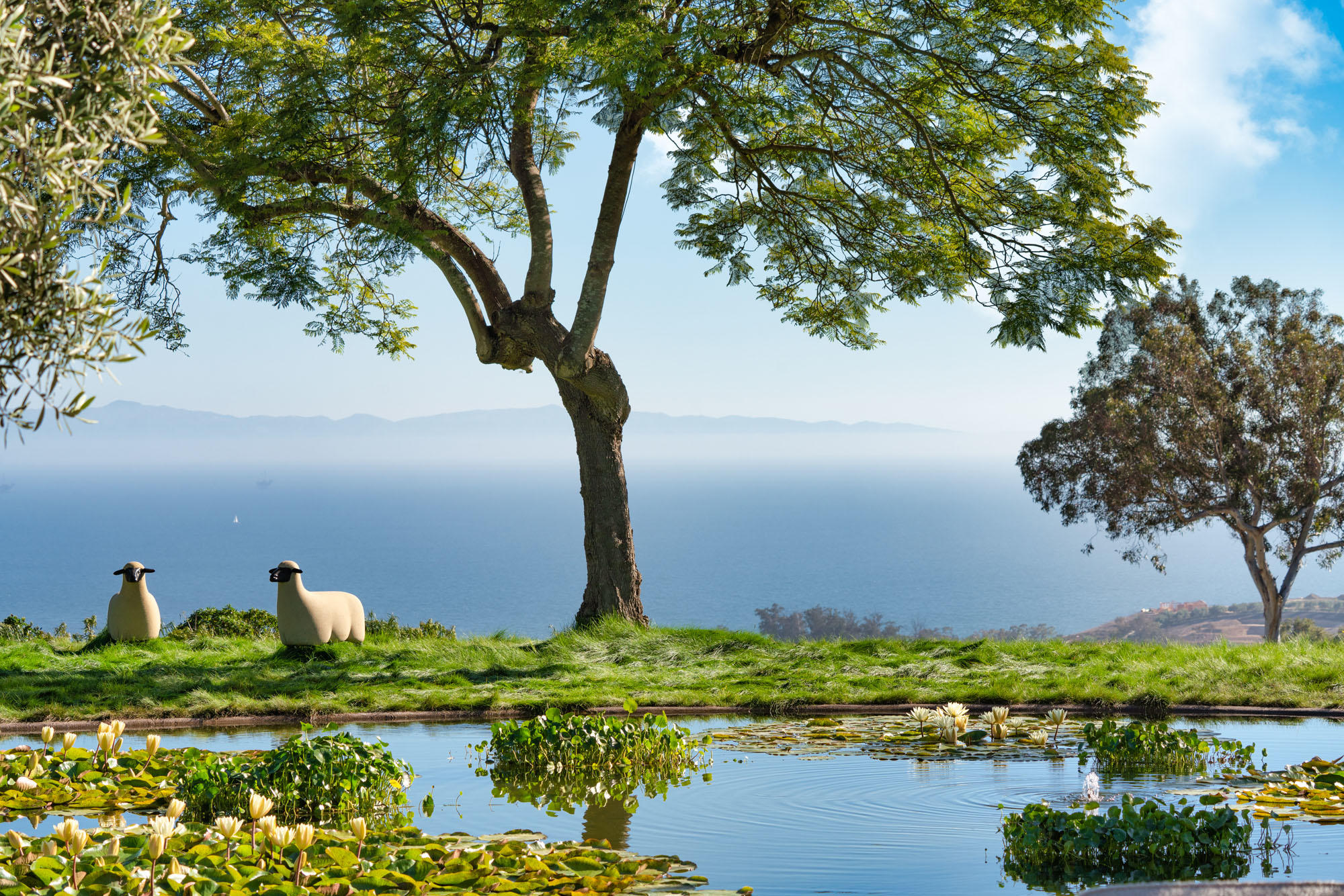 2955 East Valley Road Santa Barbara, CA 93108 - Photo 14 of 31 Pond Ocean Views
