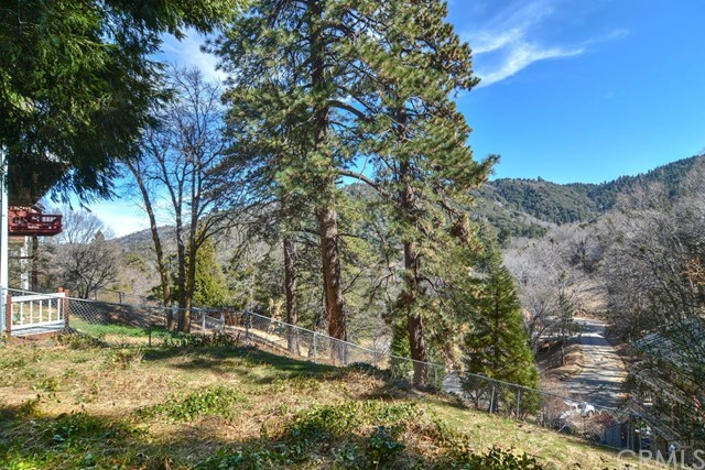 347 Donner Drive Crestline, CA 92325 - Photo 26 of 27 a view of a yard with large trees